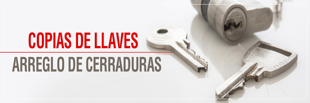 clonar copia control remoto porton